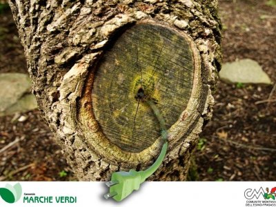 MONTAGNA: FABRIANO, FILIERA BOSCO LEGNO ENERGIA OPPORTUNITA’ PER IL TERRITORIO