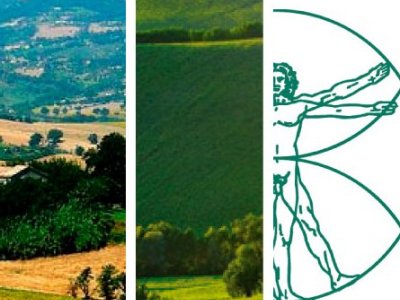 AGROALIMENTARE: INTERNAZIONALIZZARE NEL BIOLOGICO 