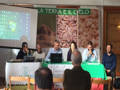 LA PRIMA PASTA BIOLOGICA ALLA SPIRULINA DELLE MARCHE