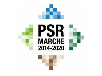 L’AGRICOLTURA BIOLOGICA, PROSPETTIVE DEL MERCATO LOCALE E INTERNAZIONALE